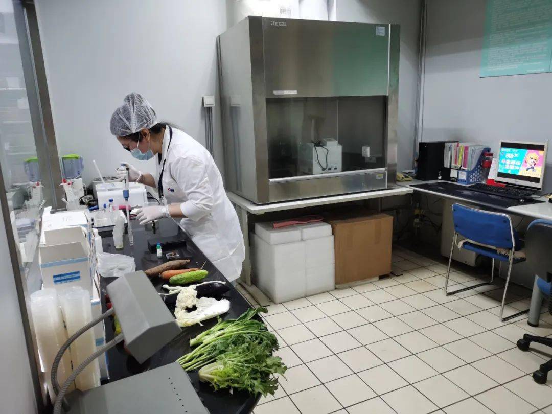 陆川食品检测实验室装修方案